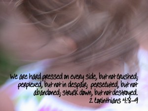 tumblr_lpw80tapQt1qh55lho1_500