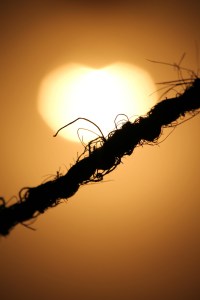 sunlight-264768_1920