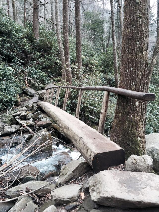 11024598_10206575969944415_922485361493488396_n